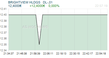 BRIGHTVIEW HLDGS   DL-,01 Realtimechart